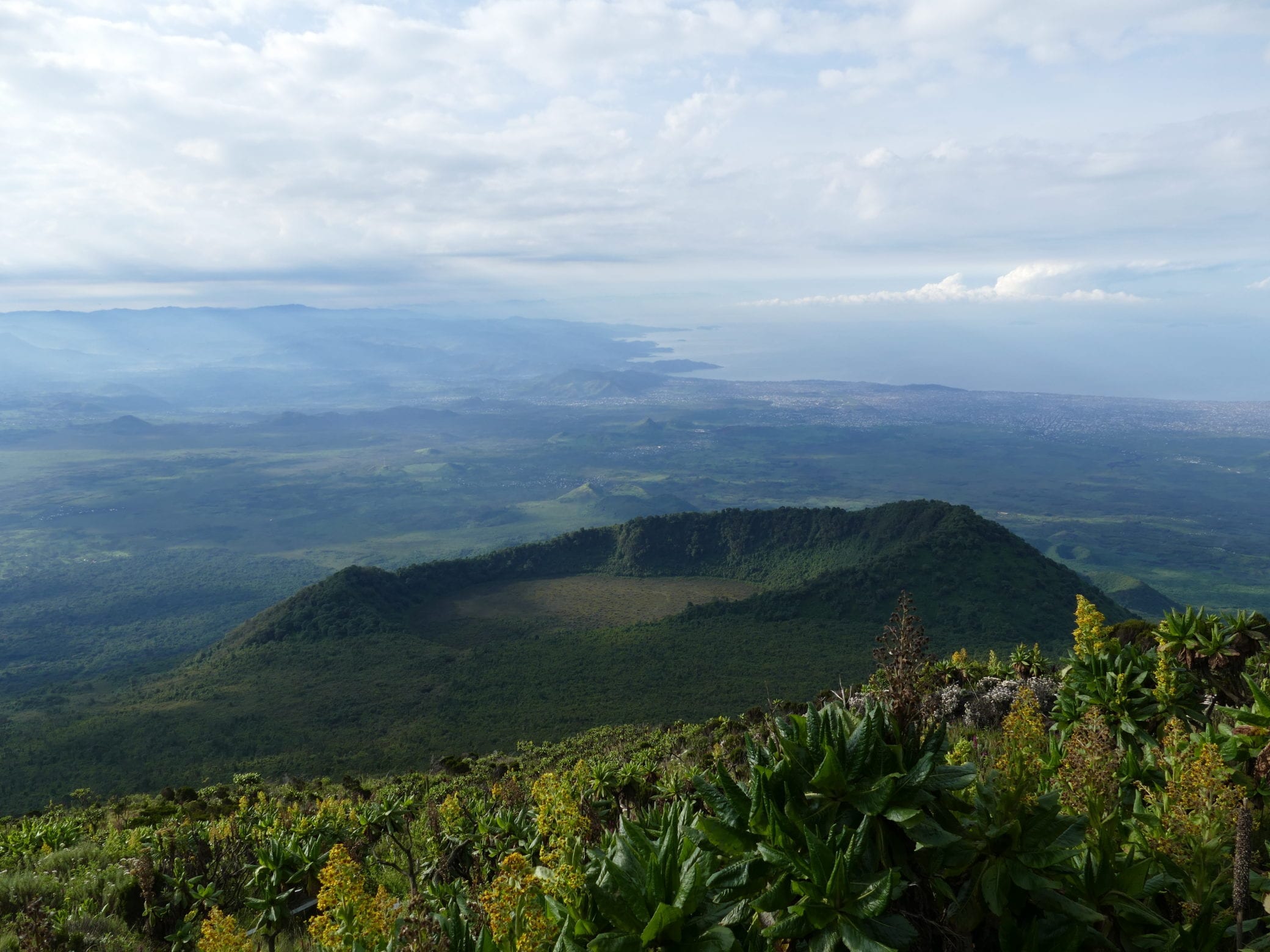 South Africa Safari 2020 Group departure